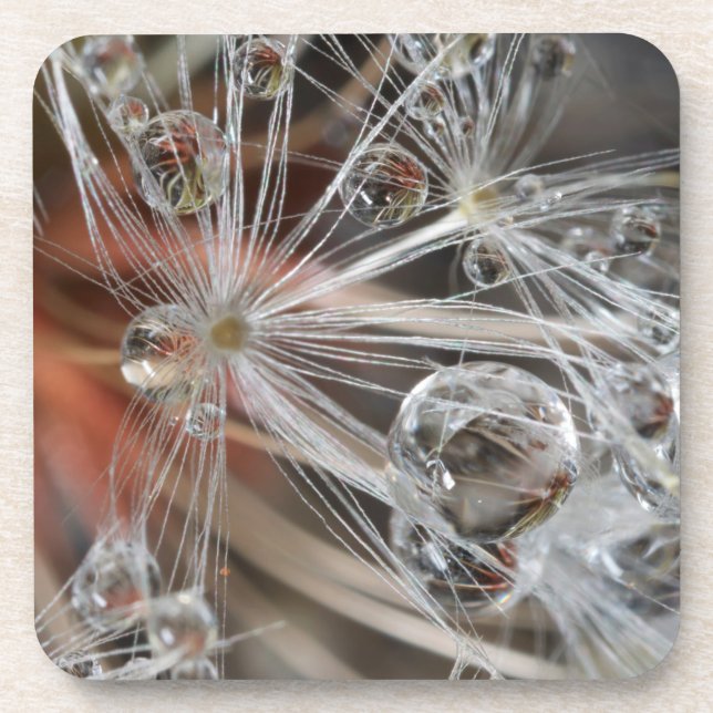 Dessous-de-verre Dandelion Abstrait (Devant)