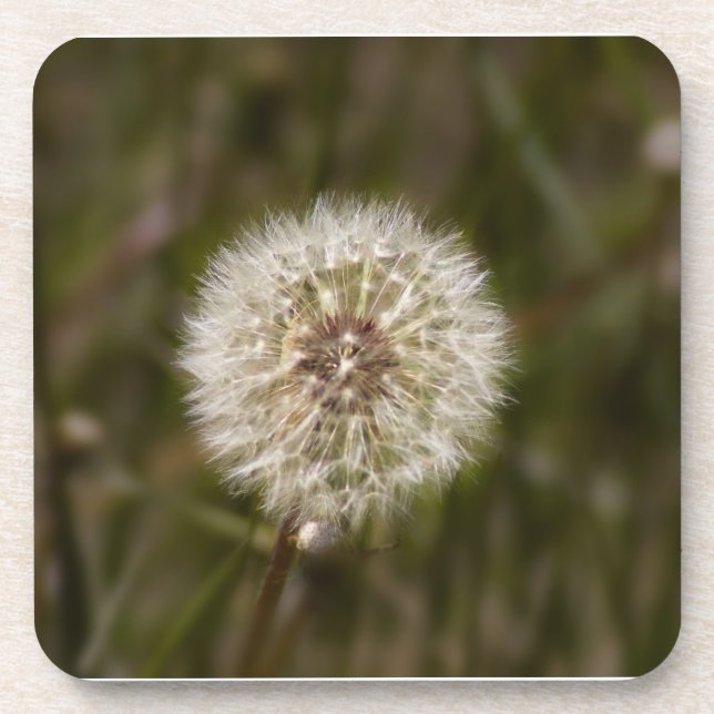 Dessous-de-verre Dandelion Cork (Devant)