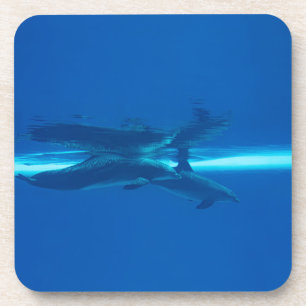 Dessous-de-verre Dauphins et réflexions