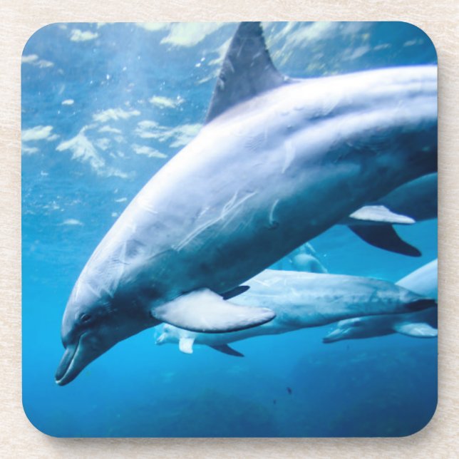 Dessous-de-verre Dauphins sous-marins (Devant)