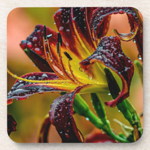 Dessous-de-verre Daylily Black Plush