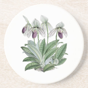 Dessous de verre de boissons de grès d'orchidée de
