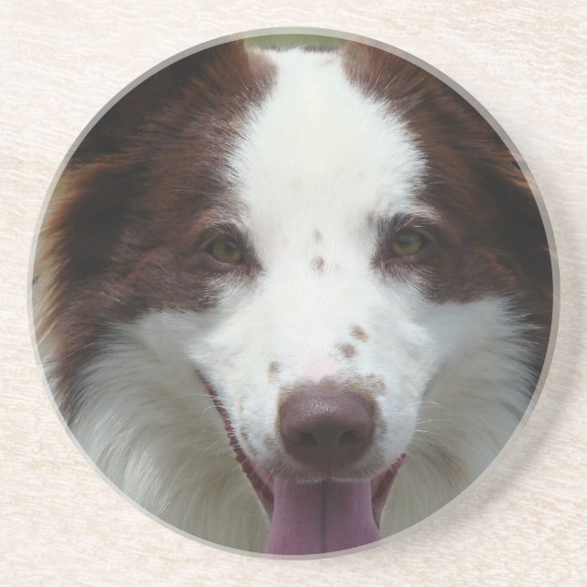 Dessous de verre de border collie (Devant)
