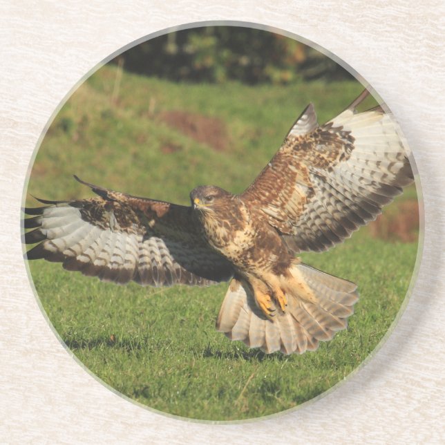 Dessous de verre de Buzzard (Devant)