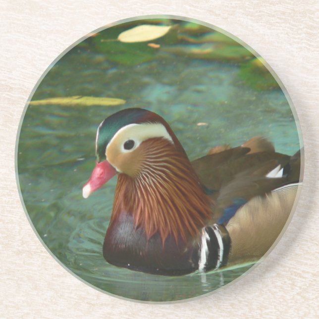 Dessous de verre de canard (Devant)