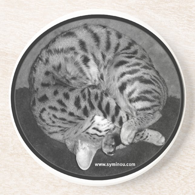 Dessous de verre de chat de la savane (Devant)