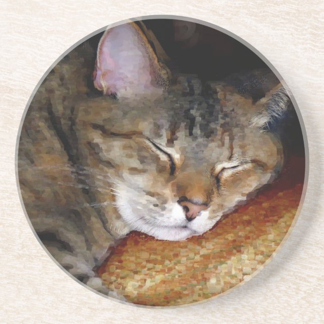 Dessous de verre de chat de sommeil (Devant)