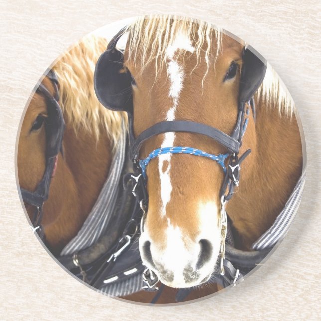 Dessous de verre de cheval de trait de Clydesdale (Devant)