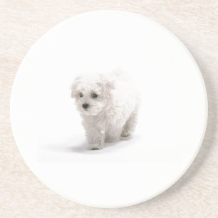 Dessous de verre de chien de Bichon Frise