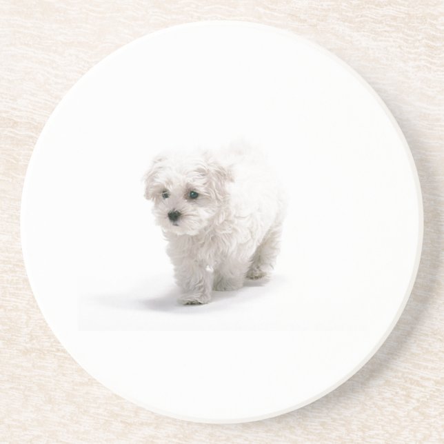 Dessous de verre de chien de Bichon Frise (Devant)