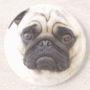Dessous de verre de chien de carlin