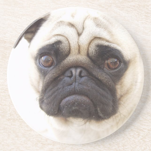 Dessous de verre de chien de carlin (Devant)