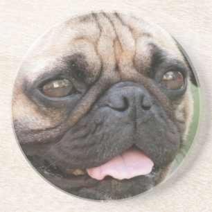 Dessous de verre de chien de carlin