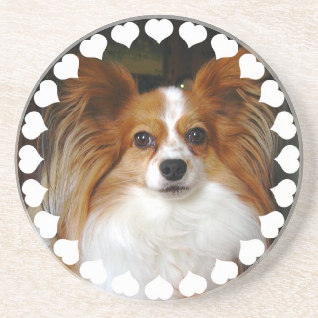 Dessous de verre de chien de Papillon (Devant)