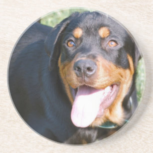 Dessous de verre de chien de rottweiler