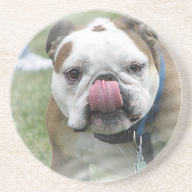 Dessous de verre de chien de Taureau (Devant)