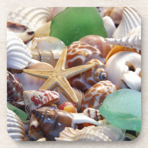 Dessous de verre de coquillages