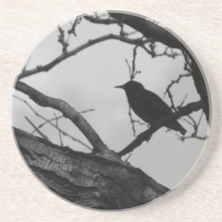 Dessous de verre de corneille