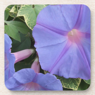 Dessous de verre de fleurs du matin