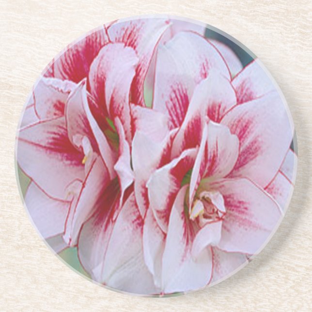 Dessous de verre de fleurs roses (Devant)