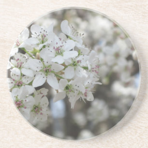 Dessous de verre de floraison de l'arbre de la poi