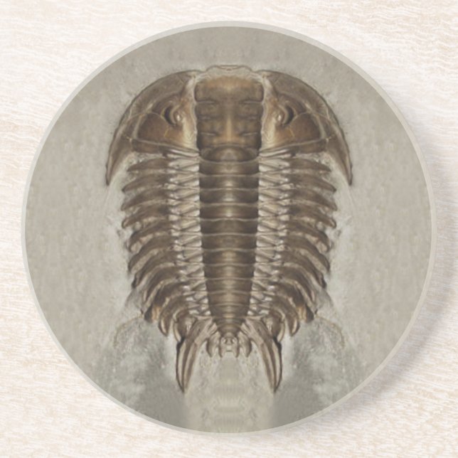 Dessous de verre de fossile de Trilobite (Devant)