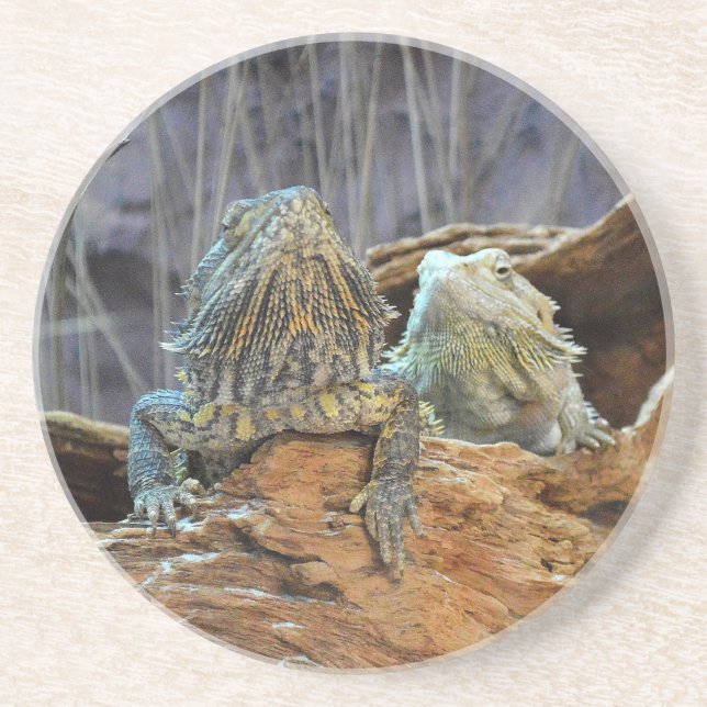 Dessous de verre de grès avec deux lézards curieux (Devant)