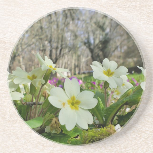 Dessous de verre de grès de Primrose (Devant)