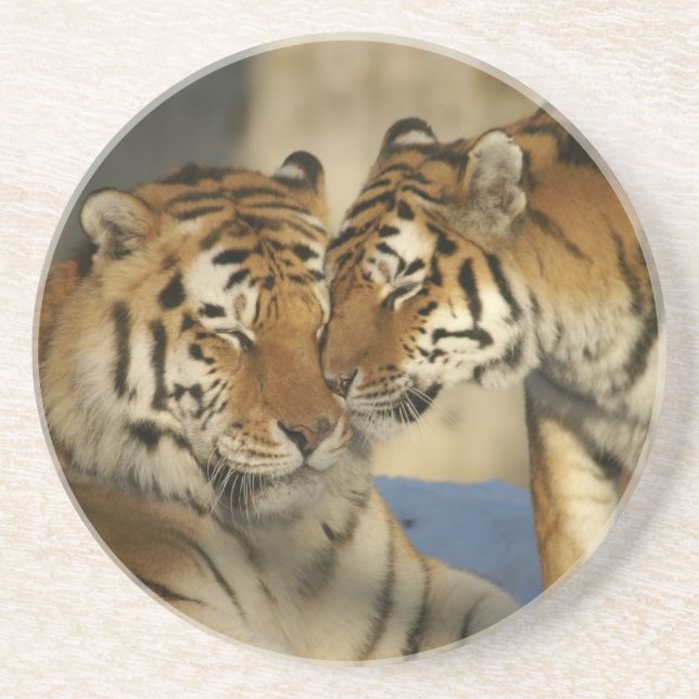 Dessous de verre de grès Tiger Love (Devant)