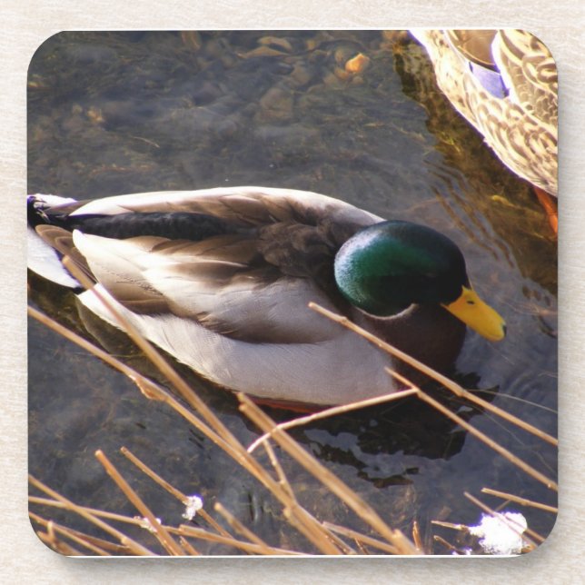 Dessous de verre de liège à canard de bois (Devant)