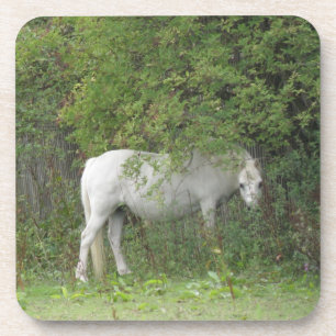 Dessous de verre de liège à Cheval Blanc timide