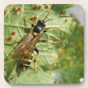 Dessous de verre de liège à mouches verses
