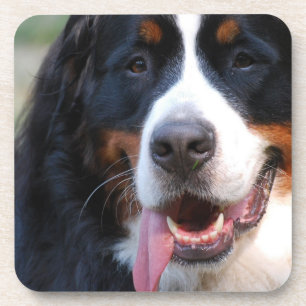 Dessous de verre de liège de chien de montagne de