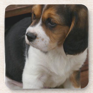 Dessous de verre de liège de chiot de beagle