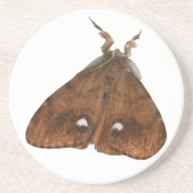 Dessous de verre de papillon (Devant)