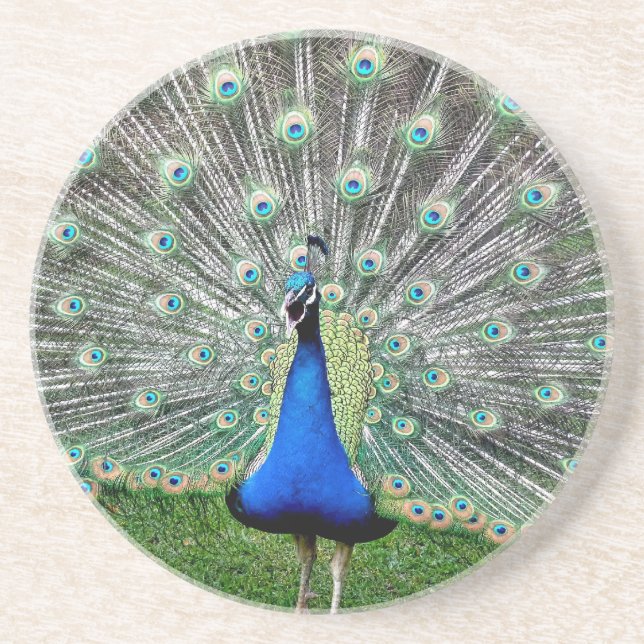 Dessous de verre de plume de paon (Devant)