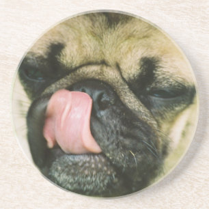 Dessous de verre de Pugalicious
