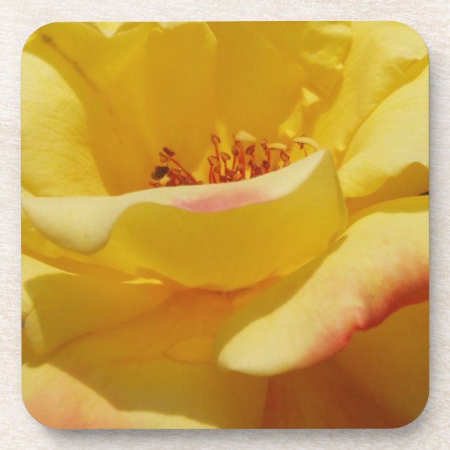 Dessous de verre de rose jaune (Devant)