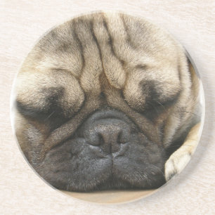 Dessous de verre de sommeil de carlin