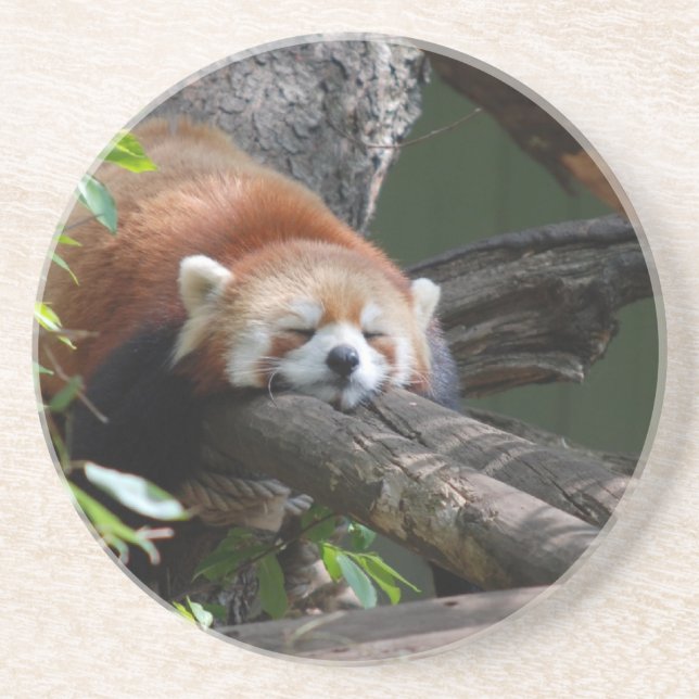 Dessous de verre de sommeil de panda rouge (Devant)
