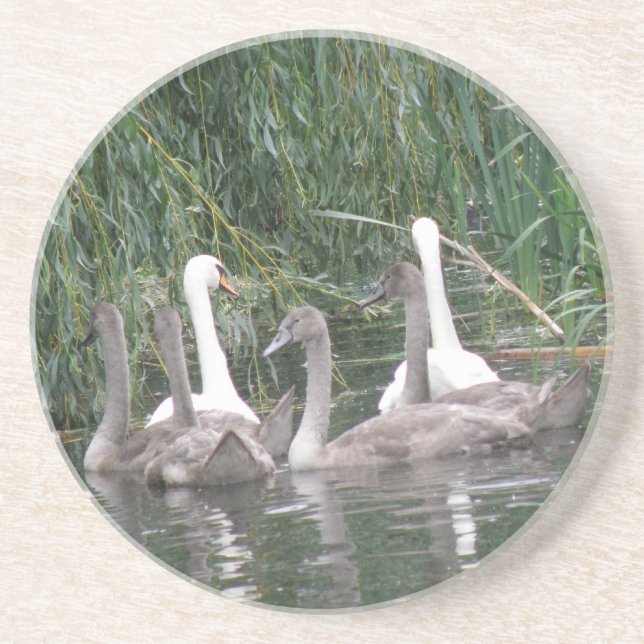 Dessous de verre de Swabs et de Cygnets (Devant)