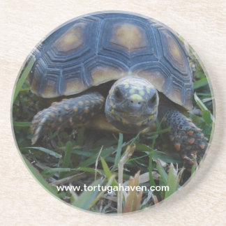 Dessous de verre de tortue de Rouge-Pied