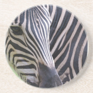 Dessous de verre de zèbre