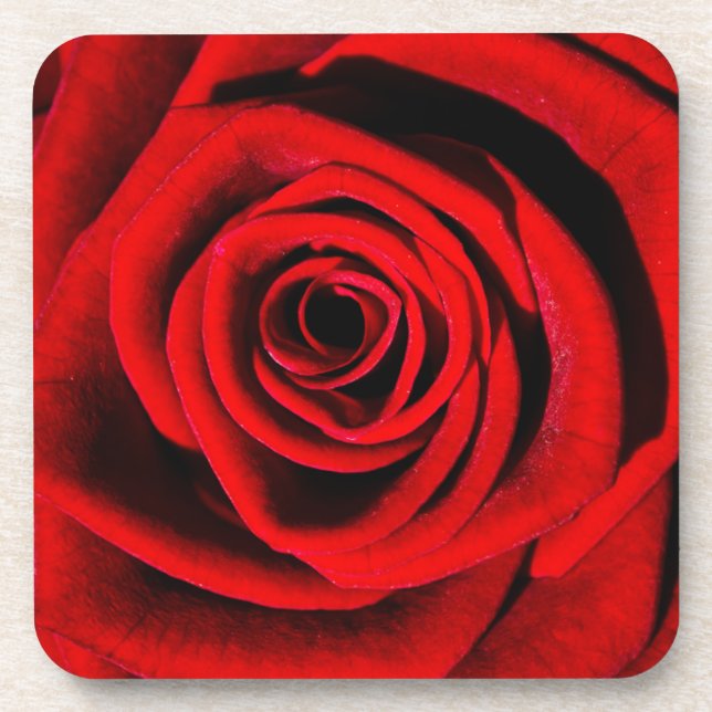 Dessous-de-verre Deep in a Red Rose (Devant)