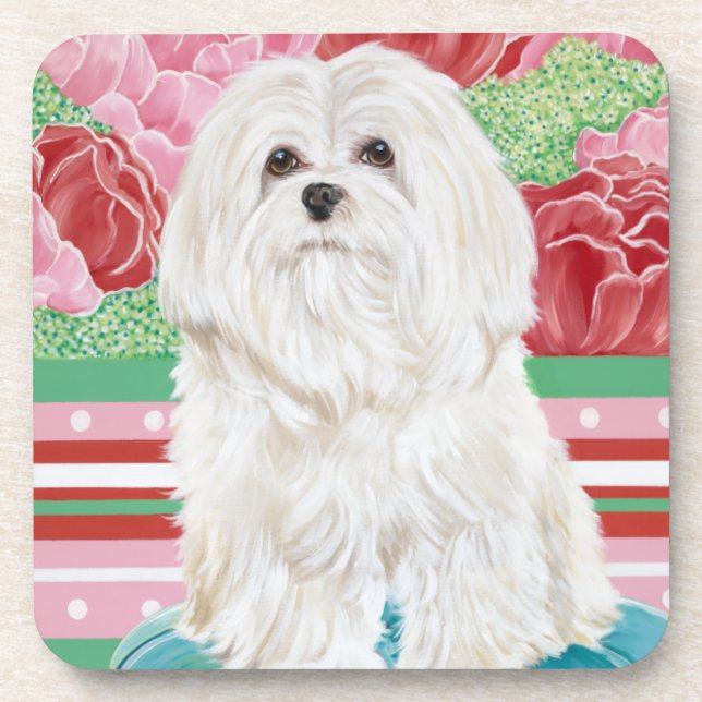 Dessous-de-verre Della Rose Maltese (Devant)