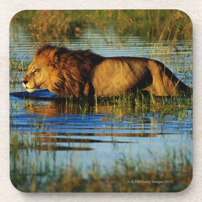 Dessous-de-verre Delta d'Okavango, Botswana 3 (Devant)