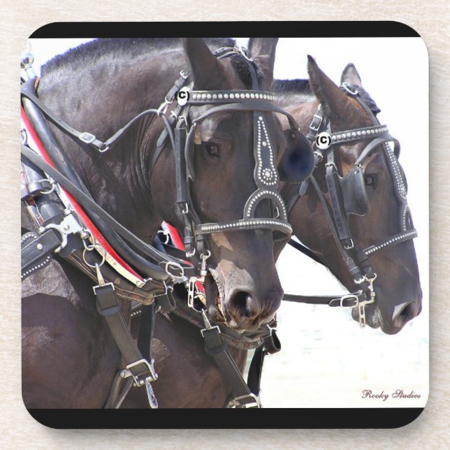 Dessous de verre d'équipe de Percheron (Devant)