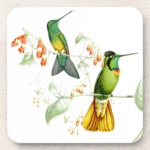 Dessous de verre des colibris de Goulds
