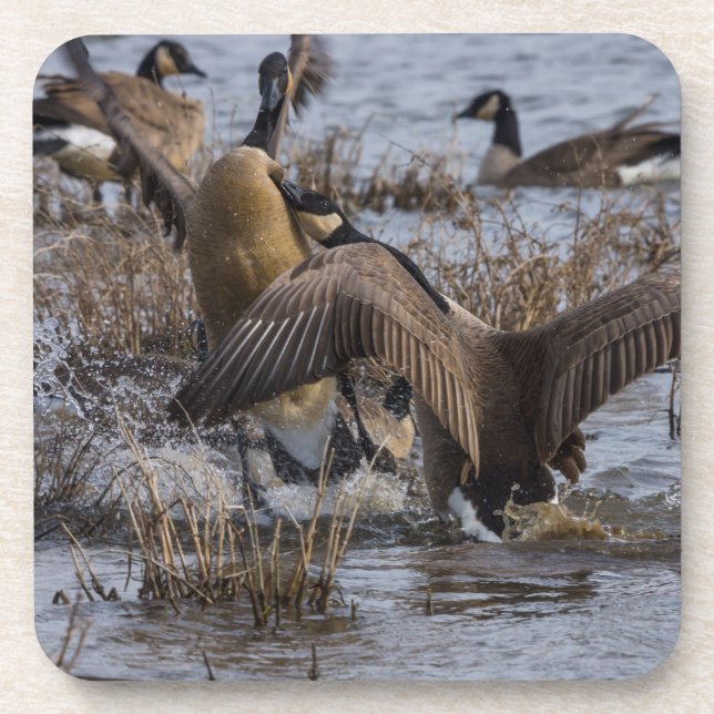 Dessous-de-verre Désactiver (Devant)