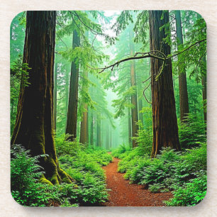 Dessous-de-verre Design de tranquillité de la forêt de Redwood